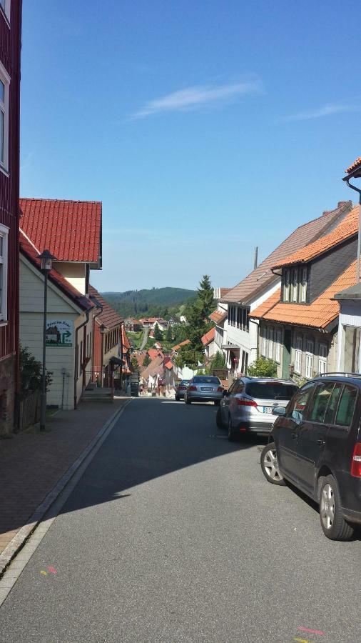 Koenig'S Wohnung Sankt Andreasberg Dış mekan fotoğraf